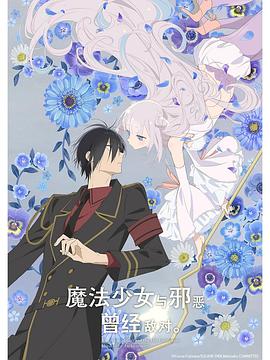 魔法少女与恶曾是敌人。